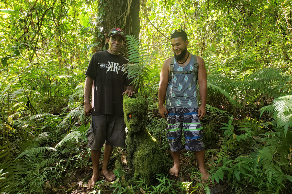 Island-Hopper-Hotel-Kosrae-Beautiful-Island.webp